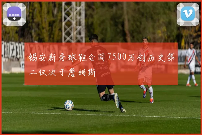 锡安新秀球鞋合同7500万创历史第二仅次于詹姆斯