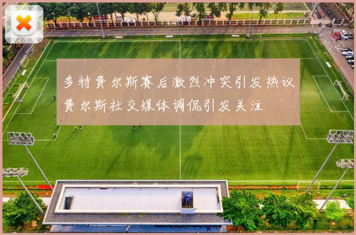 多特费尔斯赛后激烈冲突引发热议费尔斯社交媒体调侃引发关注
